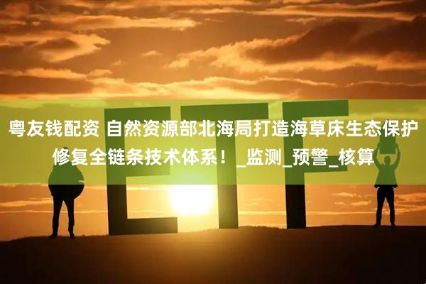 粤友钱配资 自然资源部北海局打造海草床生态保护修复全链条技术体系！_监测_预警_核算