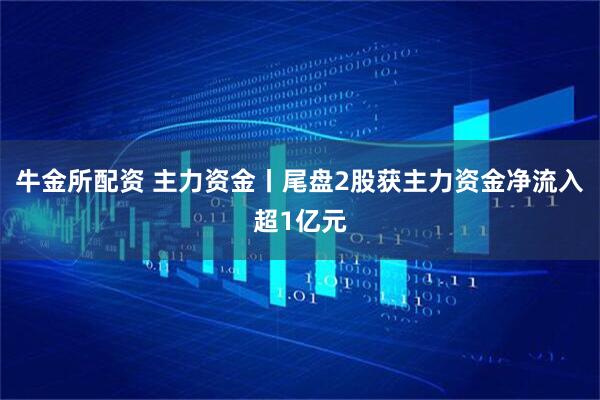 牛金所配资 主力资金丨尾盘2股获主力资金净流入超1亿元